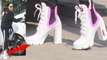 Kiara Advani Pink Booties Price will Shock You | कियारा के इन जूतों की कीमत कर देगी हैरान | Boldsky