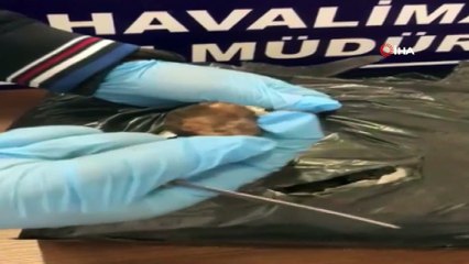 İran uyruklu şahısların valizlerinde 83 kilo 'Trüf mantarı' çıktı