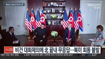 北 새로운 길 가나…한반도 정세 안갯속으로