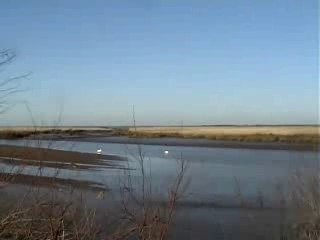 UN BEAU DIMANCHE DE FEVRIER AU TEICH