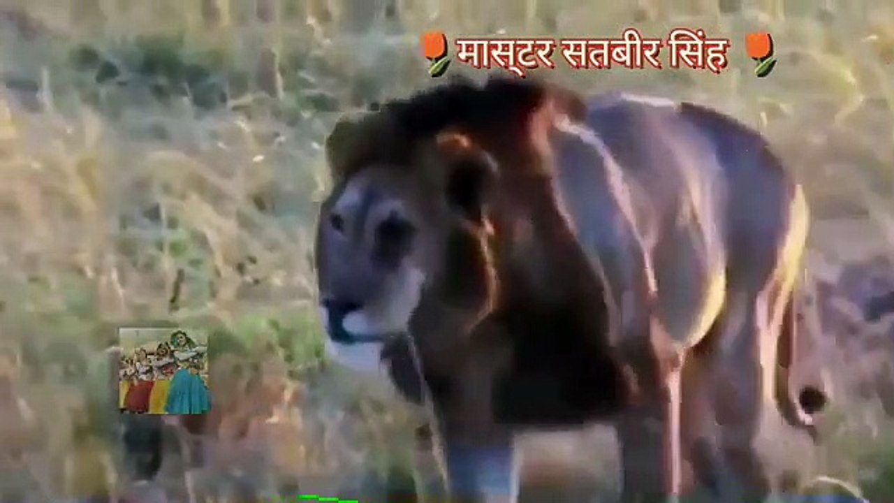 हरयाणवी देशी रागनियां  _रागनी _ सुण्य(MP4)