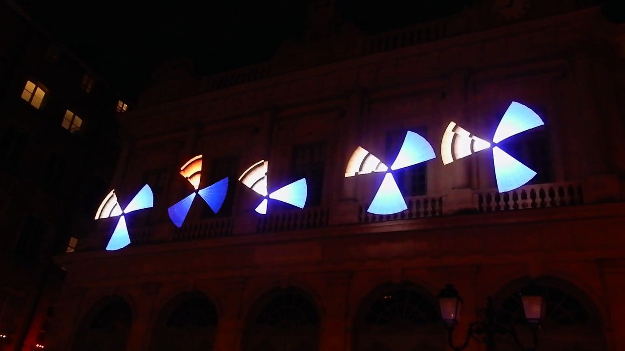Les lumières de Lyon - Flower Power