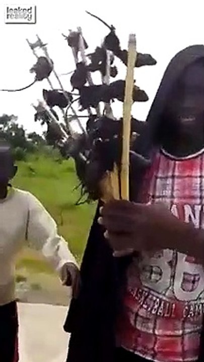 Nourriture de rue... brochettes de souris !