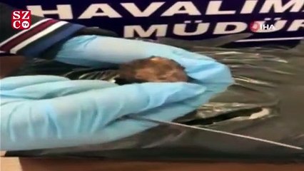 Polis şüphelendi, çantalarını aradı! Bakın içlerinden ne çıktı