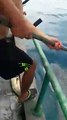 Malaisie: Des pêcheurs libèrent un requin-baleine ! WOW