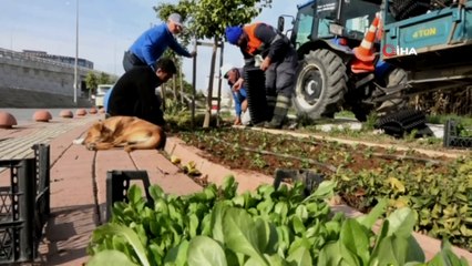 İşçilerin en sadık dostu... 6 aydır 'Gel Oğlum' ile mesai yapıyor, onsuz adım atamıyorlar