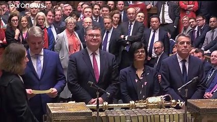 Les pro-Brexit jubilent après le vote au Parlement britannique