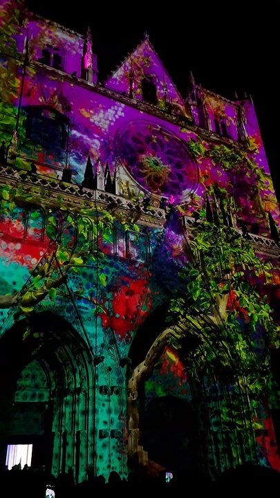 Les lumières de Lyon - Cathédrale Saint Jean
