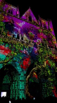 Les lumières de Lyon - Cathédrale Saint Jean