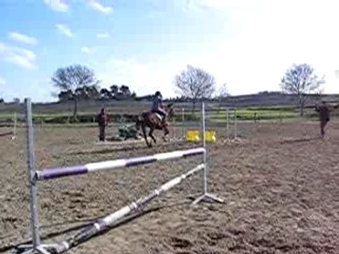 Moi et Déesse à l'entrainement CSO du 10/02/08