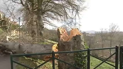 Un nuevo temporal golpea Asturias