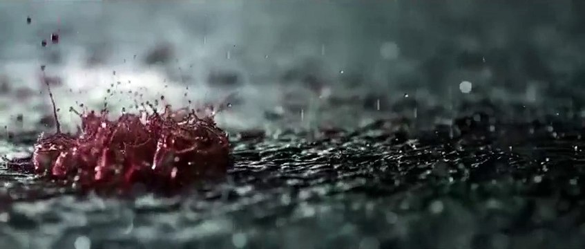 The Grandmasters Chinese Trailer #1 (2013) - Wong Kar Wai IP Man Movie HD