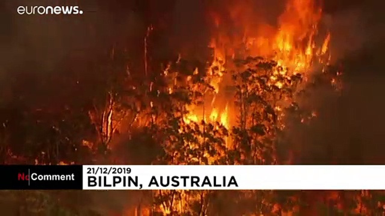 Buschbrände wüten bei Rekordtemperaturen in Australien