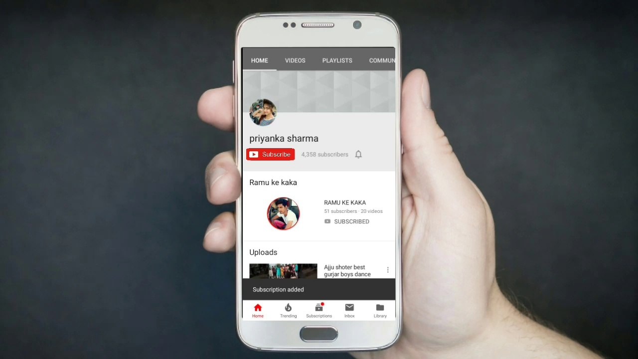 The Most Venomous Snakes in the World | Modern Dinosaurs | Test Experiment