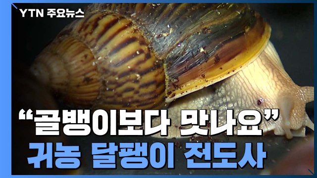 [청년농부] 귀농 달팽이 전도사... 골뱅이보다 맛있어요 / YTN