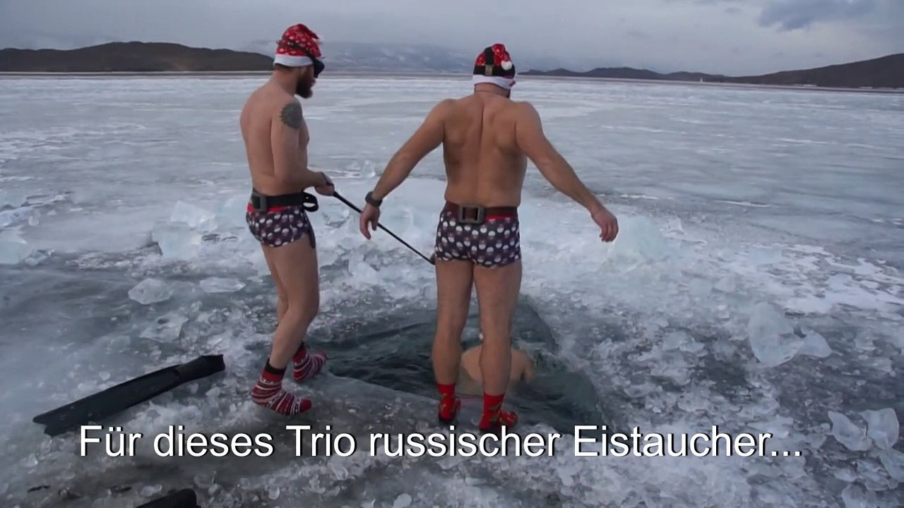 Frostiges Fest: Eistaucher versenken Weihnachtsbaum