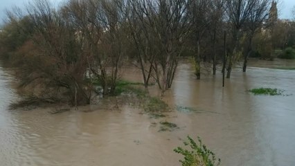 Piden precaución en Logroño por "posibles crecidas" del río