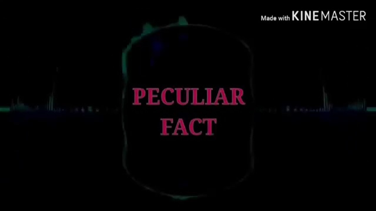 Top 10 Facts About Human Body/10 तथ्य इंसानी शरीर के बारे में।