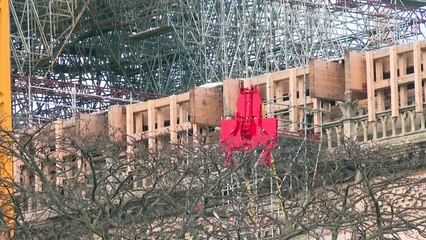 Notre-Dame sem natal