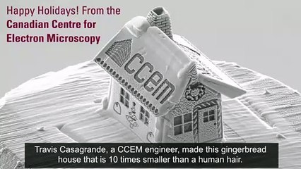 فيديو: أصغر مجسم لمنزل في العالم شعرة الرأس أكبر منه