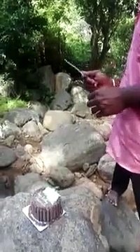 Regardez qui vient voler le gâteau d'anniversaire en pleine fête