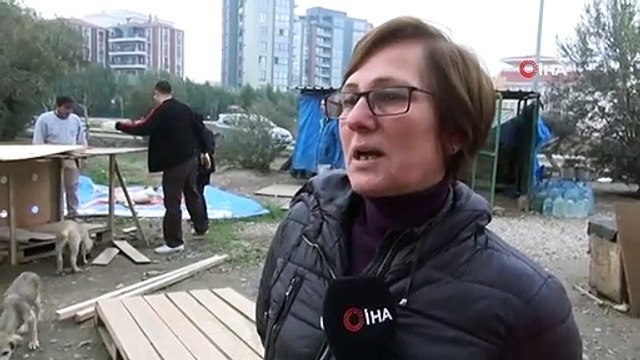 Kış Mevsiminde Sokak Hayvanlarının Yuvasız Bıraktılar