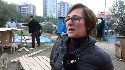 Kış Mevsiminde Sokak Hayvanlarının Yuvasız Bıraktılar