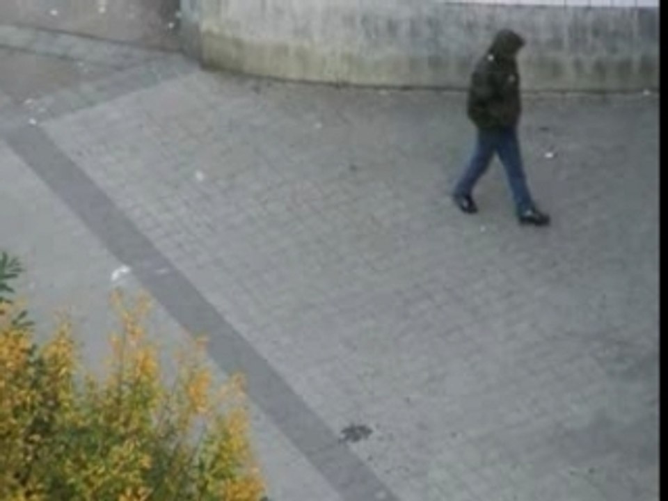 Les Saules... une journée ordinaire.