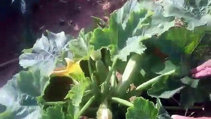 اسمع ماذا تعني كلمة السخي الوفي‬