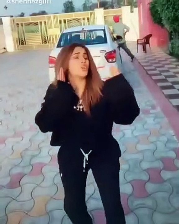 shahnaz katrina