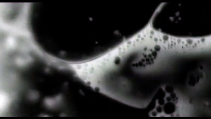 O ExercIcio do Caos The Exercise of Chaos)   Trailer