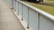 Huge Kangaroo Hops Past Pedestrians on Bridge