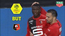 But M'Baye NIANG (82ème) / Stade Rennais FC - Girondins de Bordeaux - (1-0) - (SRFC-GdB) / 2019-20