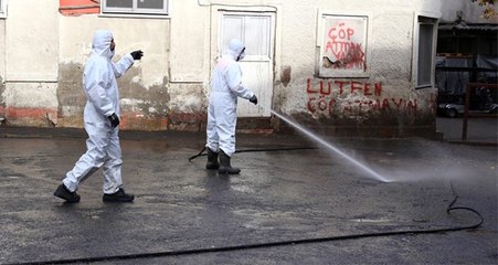 Atlı faytonların durdurulması ardından Büyükada'da temizleme çalışmaları başladı