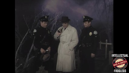 Here comes the Boom - Intellectual Froglegs