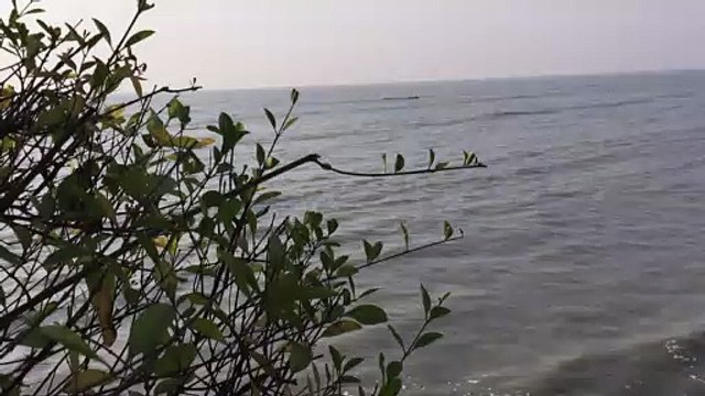 A seashore view From Guinea Conakry