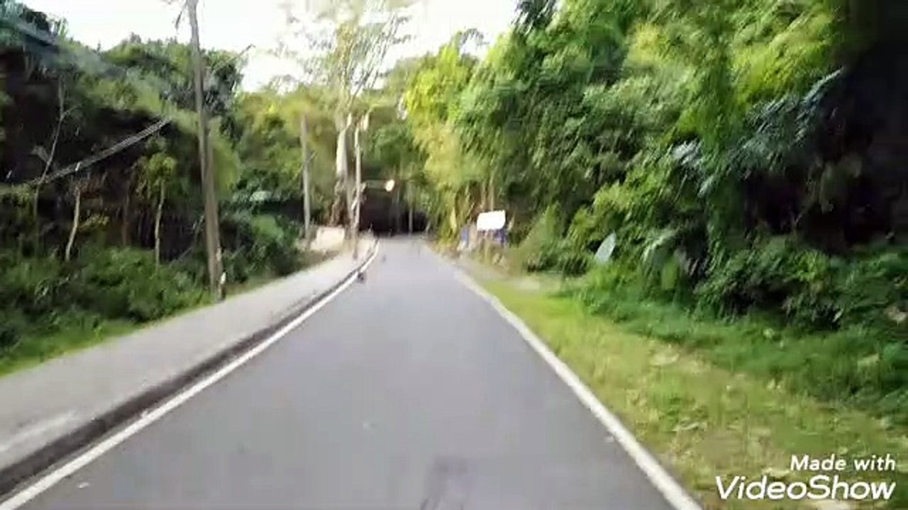 Monkeys Hill  videoshow
