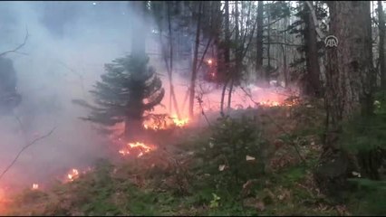 Uludağ'da orman yangını çıktı (1) - BURSA