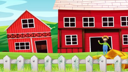 Bingo Dog Song | Kids Songs & Nursery Rhymes | The Little Fun TV