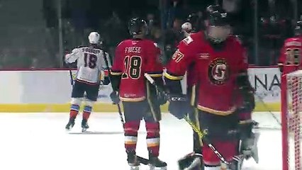 AHL Highlights - San Diego Gulls 4 vs. Stockton Heat 3 SO