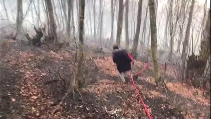 Uludağ'da orman yangını çıktı (2) - BURSA