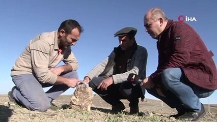 Türkiye’nin 3’üncü büyük göktaşını buldu: "Türkiye’de incelenmesi için çok uğraştık, kimse ilgilenmedi, ABD'ye gönderdik NASA onayladı"