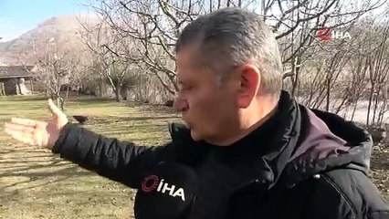 ENDÜSTRİYEL TAVUKLA GEZEN TAVUĞUN SAVAŞI; HANGİ TAVUK KENDİ PİSLİĞİNİ YER