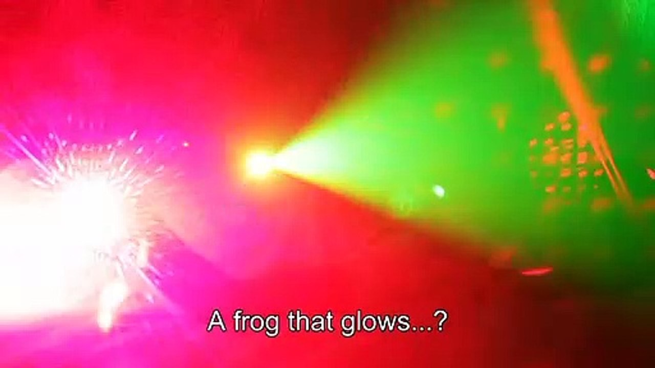 GFP Bunny - trailer
