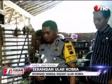 Warga Klaten Digigit Ular Kobra dalam Kandang Ayam