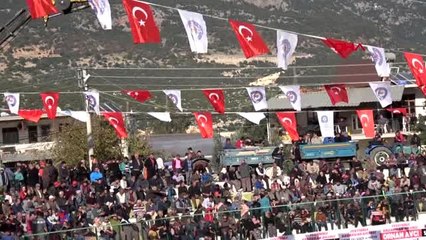 Spor antalya'da deve güreşi şenliği