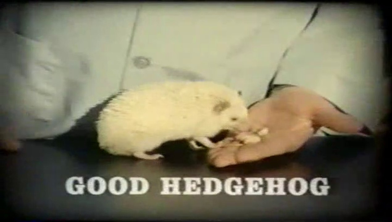 2001 "Sonic Adventure 2" Sega Dreamcast Video Game TV Ad