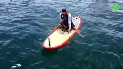 Il attrape un énorme mérou sur sa planche et a beaucoup de mal à le remonter