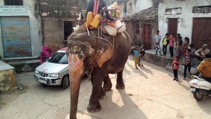 हाती का गाव  मे आ ना
