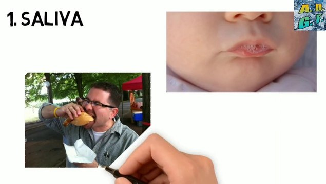 मानव शरीर के बारे में 5 चौंका देने वाले तथ्य | Top 5 Staggering Facts About The Human Body 2020